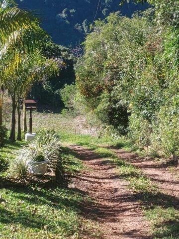 Terreno no Galópolis (foto 4 de 7)