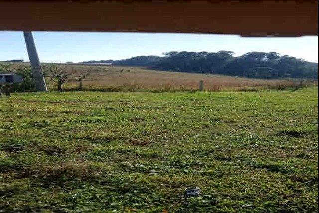 Gleba (foto 6 de 8)