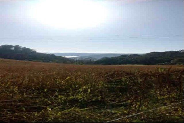 Gleba (foto 8 de 8)